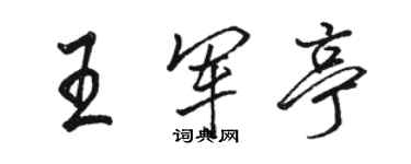 駱恆光王軍亭行書個性簽名怎么寫