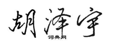 駱恆光胡澤宇行書個性簽名怎么寫