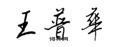 王正良王普華行書個性簽名怎么寫