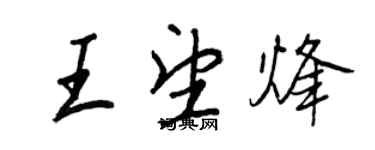 王正良王望烽行書個性簽名怎么寫