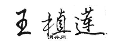 駱恆光王植蓮行書個性簽名怎么寫