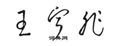 駱恆光王寧非草書個性簽名怎么寫