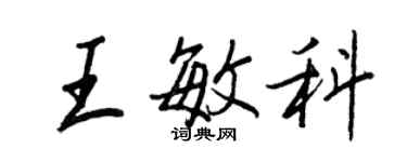 王正良王敏科行書個性簽名怎么寫