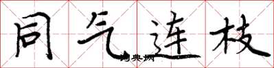 周炳元同氣連枝楷書怎么寫