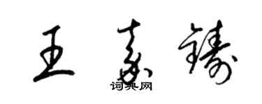 梁錦英王嘉鑄草書個性簽名怎么寫