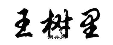 胡問遂王樹里行書個性簽名怎么寫