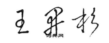 駱恆光王開杉草書個性簽名怎么寫