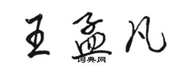 駱恆光王孟凡行書個性簽名怎么寫