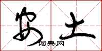 曾慶福安土草書怎么寫