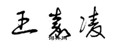 曾慶福王嘉凌草書個性簽名怎么寫