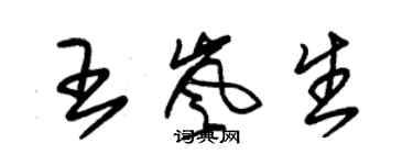 朱錫榮王嵐生草書個性簽名怎么寫