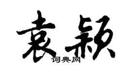 胡問遂袁穎行書個性簽名怎么寫
