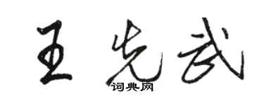 駱恆光王先武行書個性簽名怎么寫