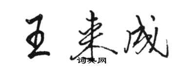 駱恆光王來成行書個性簽名怎么寫