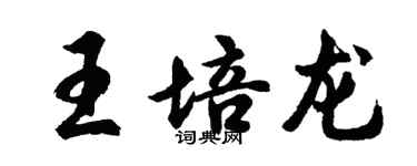 胡問遂王培龍行書個性簽名怎么寫