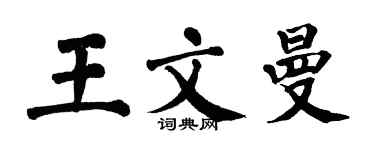 翁闓運王文曼楷書個性簽名怎么寫