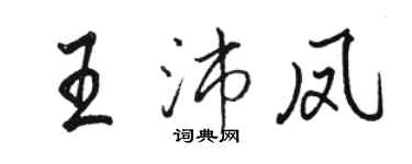 駱恆光王沛鳳行書個性簽名怎么寫