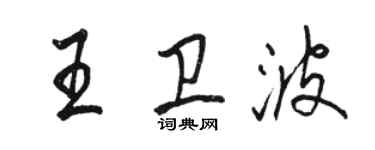 駱恆光王衛波行書個性簽名怎么寫