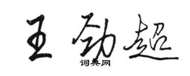 駱恆光王勁超行書個性簽名怎么寫
