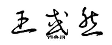 曾慶福王或然草書個性簽名怎么寫