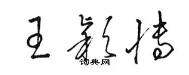 駱恆光王穎博草書個性簽名怎么寫