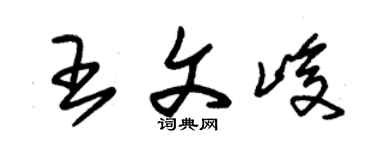 朱錫榮王文峻草書個性簽名怎么寫