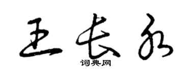 曾慶福王長水草書個性簽名怎么寫