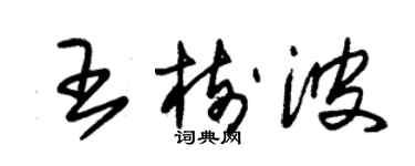 朱錫榮王樹波草書個性簽名怎么寫