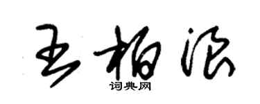 朱錫榮王柏浪草書個性簽名怎么寫