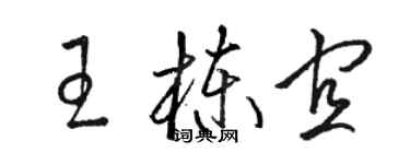 駱恆光王棟宜草書個性簽名怎么寫