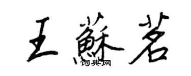 王正良王蘇茗行書個性簽名怎么寫