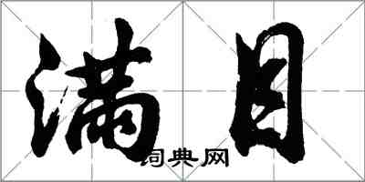 胡問遂滿目行書怎么寫