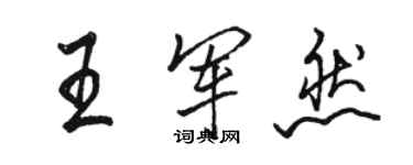 駱恆光王軍然行書個性簽名怎么寫