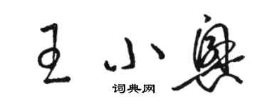 駱恆光王小興草書個性簽名怎么寫