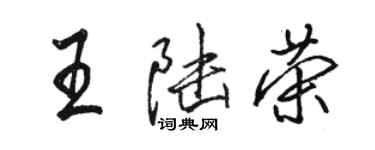 駱恆光王陸榮行書個性簽名怎么寫