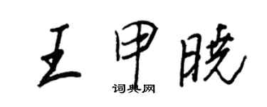 王正良王甲曉行書個性簽名怎么寫
