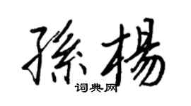 王正良孫楊行書個性簽名怎么寫
