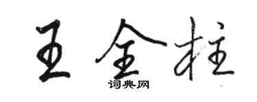 駱恆光王全柱行書個性簽名怎么寫