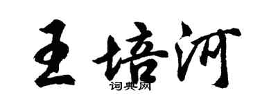 胡問遂王培河行書個性簽名怎么寫
