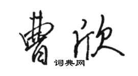駱恆光曹欣行書個性簽名怎么寫