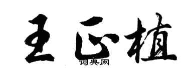 胡問遂王正植行書個性簽名怎么寫