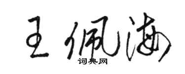 駱恆光王佩海草書個性簽名怎么寫
