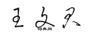 駱恆光王文君草書個性簽名怎么寫