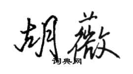 駱恆光胡薇行書個性簽名怎么寫