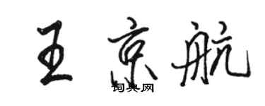 駱恆光王京航行書個性簽名怎么寫