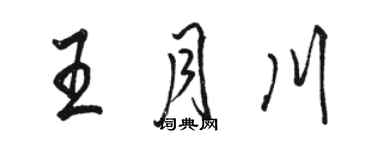 駱恆光王月川行書個性簽名怎么寫