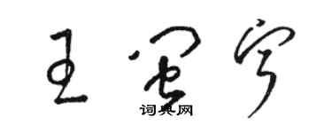 駱恆光王閩寧草書個性簽名怎么寫