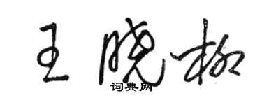 駱恆光王曉柳草書個性簽名怎么寫