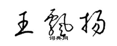 梁錦英王飄揚草書個性簽名怎么寫