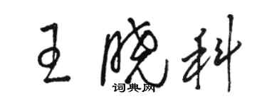 駱恆光王曉科草書個性簽名怎么寫